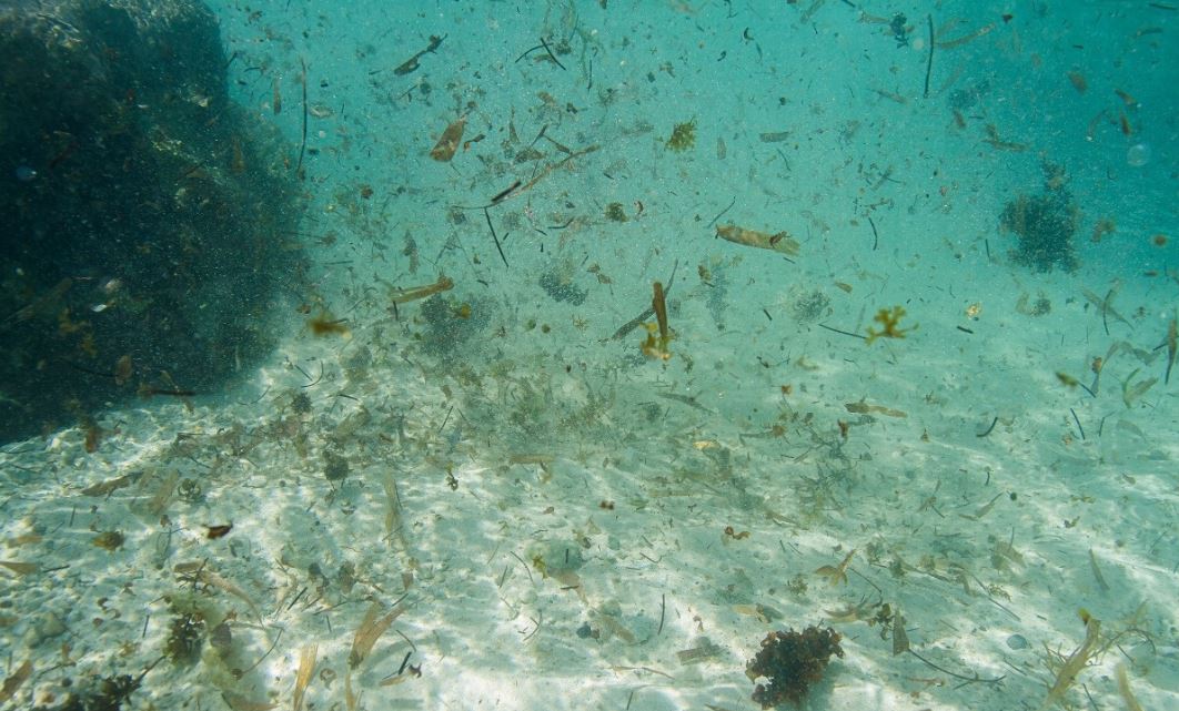 石油廢水